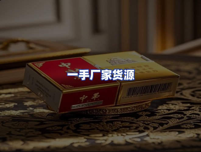 专业团队